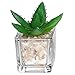 Small Glass Cube Artificial Plant Modern Home Decor/Faux Succulent Planter Pots, Set of 3 (Assortment 1)