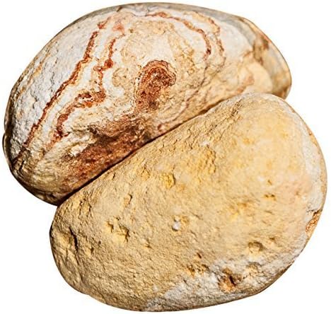 Galapagos Pet Supply 05292 Natural Stones - White44; 5 Pieces - Case of 6