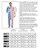 Tipsy Elves Unisex Cozy Christmas Lights Jumpsuit - Ugly Christmas Sweater Party Adult Cozy Onesie