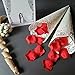 DECORA 4.5 inch White Round Paper Lace Doilies for Wedding Tableware Decoration 200pcs