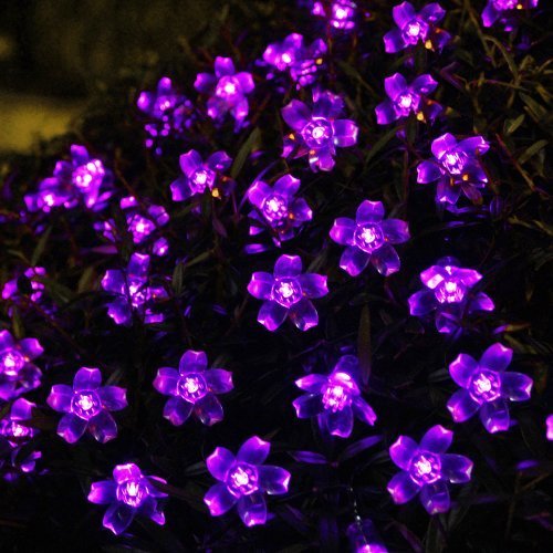 Innoo Tech Solar Outdoor String Lights 21ft 50 LED Purple Blossom Christmas Lights for Bedroom,Garden,Walkway - Thumbnail 2