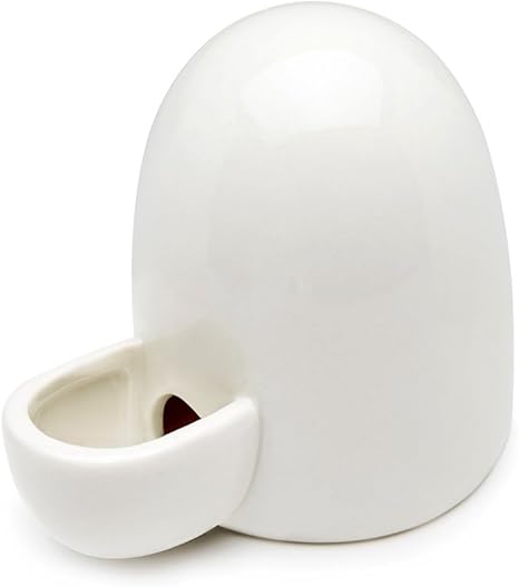 Amazon Com Dahey Drinking Water Feeder Ceramics Slient Bottle