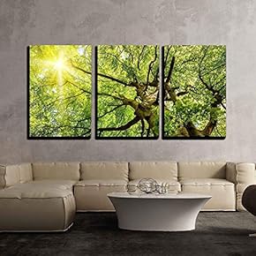 Sun Shining Through Treetops Wall Decor x3 Panels