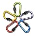 DYZD Carabiner Gear Aluminum Alloy D Shape Buckles D Ring Keychains Screw Locking Spring Clip Hook Keyring Clip Hook(Style 1, 5 PCS)