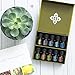 doTERRA Family Essential Kit Liquid