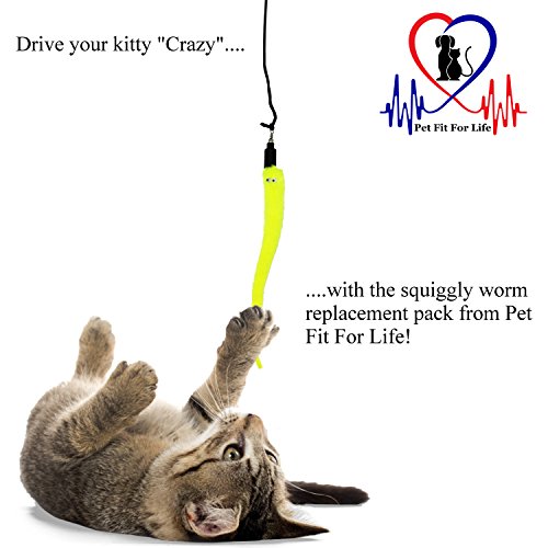 Pet Fit For Life - 5 Piece Kitten Toy Refill Pack - Replacement for Indoor Cat's Interactive Wand and Catch Wand - Features 5 Assorted Soft Squiggly Worm Attachments