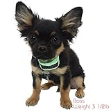 'NEW MODEL' Our K9 Mint Small Dog No Bark Collar - Anti Bark Vibration Control - 7 Levels Button Adjustable Sensitivity Control - Warning Beep Then Vibration for 6 - 30 lb. Dogs - Low Battery Alarm