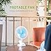 VIVOSUN 6-Inch Portable Clip-On Desk Fan for Grow Tent Room, 2-Speed, Adjustable Tilt, Whisper Quiet Operation