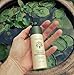 All Natural Deodorant – Organic Vegan – For Women & Men – Biodegradable Packaging 2.5oz/74ml [Unscented]