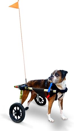 silla de ruedas para perros amazon