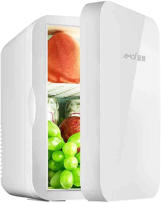 refrigerator for car amazon