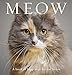 Meow: A Book of Happiness for Cat Lovers (Animal Happiness) by Anouska Jones