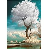 DIY 5D Diamond Painting by Number Kits, White Tree Full Drill Crystal Rhinestone Diamond Embroidery Paintings Pictures Arts Craft for Home Wall Decor 40x30cm