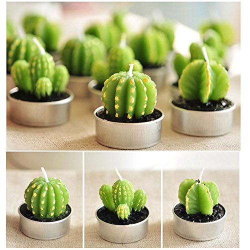 Cactus Tealight Candles, niceEshop(TM) 6pcs Creative Birthday Scented Candles Handmade Delicate Succulents Candles for Birthday/Party/Spa/Wedding/Home Decoration/Confession