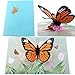 Aloha Cards 3D Pop Up Greeting Cards For Birthdays, Thank You, All Occasions/Packaged with Envelope Protective Bag (4 Pack: Butterfly, Lily Bouquet, Cupcake, Birthday Cake)