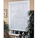 Lewis Hyman Vinyl Horizontal Rollup Shade 72 H x 48 W White Cordless
