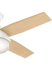 Hunter Ventilador Company 59246 Contemporáneo Dempsey Fresh Blanco Ventilador de techo con luz y mando a distancia, 44"