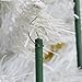 Scentsicles, Cinnamon Scented Ornament Fragrance Sticks (1 Bottle, 6 Sticks)
