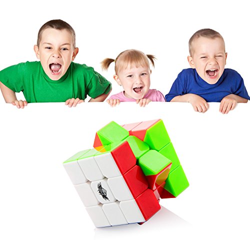 D-FantiX Cyclone Boys 3x3 Speed Cube Stickerless Magic Cube 3x3x3 Puzzles Toys (56mm)