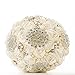 Pavian [My Darling] Advanced Customization Romantic Bride Wedding Holding Bouquet Roses Multi-Color Selection-Ivory