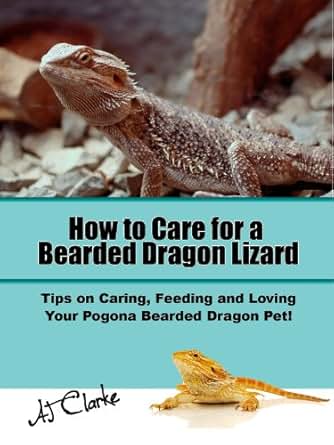 How To Care For A Bearded Dragon Lizard Tips On Caring