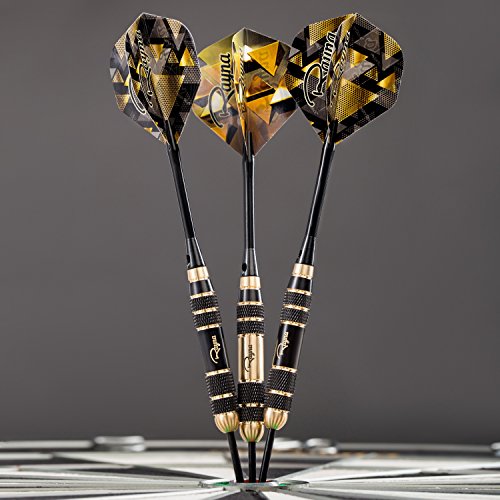 Rayna Games Professional Darts Set - Steel Tip Darts with Aluminum Shafts and Different Style Flights + Dart Sharpener + Premium Dart Case