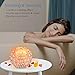 eecoo 736691298838 Himalayan Pink Crystal Sea Salt Rock Lamp 2x15W Bulbs, Base,Dimmable Controller,UL-Listed Cord, Round, Metal Bowl Mode