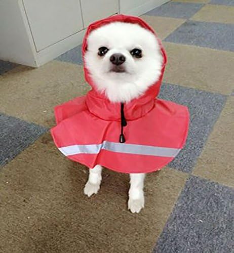 Pomeranian raincoat Clearance
