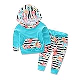 Baby Girls Floral Hoodie+ Floral Pant Set Leggings 2 Piece Outfits (0-6 Months, Blue)