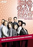 The Big Gay Sketch Show: Season 1