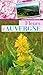 Fleurs d'Auvergne (NATURE DE NOS REGIONS) (French Edition) by 