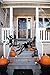 jollylife 7PCS Halloween Decorations Outdoor Fake Giant Spiders - Scary Props for Yard Haunted House Indoor Party Decor Supplies (47”×1pcs, 30”×1pcs, 20”×2pcs, 12”×3pcs)