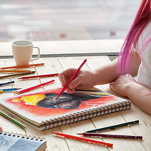 image for ARTEZA 9X12