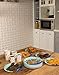 BLUE PANDA Disposable Plates - 80-Count Paper Plates, Noah's Ark Party Supplies for Appetizer, Lunch, Dinner, and Dessert, Church Gatherings, 9 x 9 Inches