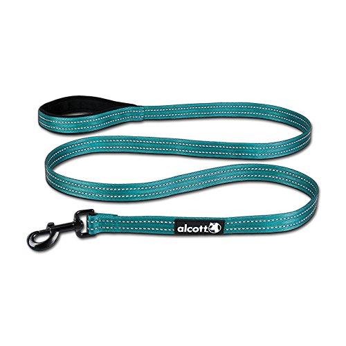 alcott Adventure Dog Leash with Reflective Stitching & Neoprene Padded Handle, Large, Blue