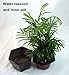 Self Watering Glazed Ceramic Pot - Brown - 6 3/8