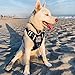 BABYLTRL No Pull Dog Harness with Leash & Collar, Adjustable Dog Vest Harness Reflective Oxford No-Choke Soft Pet Harness for Small Medium Large Dogs Easy Control Harness (Oldblack, Large)