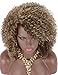 Kalyss Synthetic Brown Blonde Highlights Afro Kinky Curly Wigs for Women Side Parted Natural Looking Big Bouncy Hair Wigs