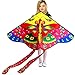 Hengda Kite So Beautiful Loving Heart Butterfly Kite Single Line Kite Incudes 30m String and Handle