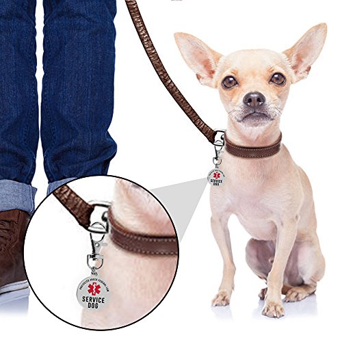 image for Lushleaf Designs Official Service Dog ID Tag - 1