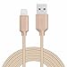 iSPECLE iPhone 8 Charger, 10Ft / 3M Lightning Cable Nylon Braided for iPhone X 8 Plus 7 6 6S Plus 5S 5C 5, iPad Air, iPad Mini 2, iPad Pro, iPad Touch 5th gen - Gold