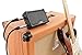 IK Multimedia iRig Nano Amp pocket guitar amplifier with integrated iRig circuit (black) - IP-IRIG-NANOAMP-IN