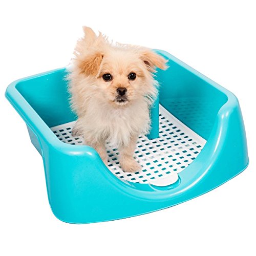 Eight24hours Dog Training Tray Blue, 1 Post Included, 18" L X 18" W X 6"H