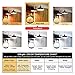 CRLight 6W Edison LED Globe Bulb 2700K Warm White, 70W Equivalent 700 LM Dimmable, E26 Vintage Edison G16 Globe Clear Glass Ceiling Fan Bathroom LED Light Bulbs, 6 Pack