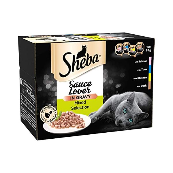 Sheba-Sauce-Lover-Mixed-Collection--Wet-cat-food-trays-for-adult-cats--48-x-85g Sheba Sauce Lover Mixed Collection – Wet cat food trays for adult cats – 48 x 85g