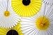 Devra Party Daisy and Sunflower Fans - Set of 6 (13-20 Inches)