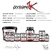 Savage Roar | Dynamik Muscle | Pre-Workout | Formulated By Kai Greene (Cotton Candy)