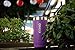 ICONIQ Stainless Steel Vacuum Insulated Tumbler, 20 ounce (Purple)