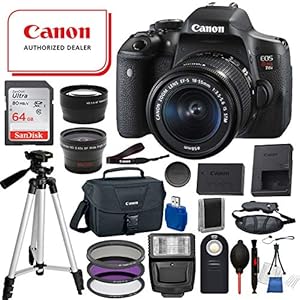 Canon EOS Rebel T6i Digital SLR Camera with EF-S 18-55mm is STM USA (Black) 19PC Professional Bundle Package Deal –SanDisk 64gb SD Card + Canon Shoulder Bag + More
