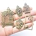 Youdiyla 100g Birdcage Charms Collection - Hollow Bird Cage Love Bird Cage Bird in a Cage Metal Pendants for Jewelry Making DIY Findings (Bronze HM30)